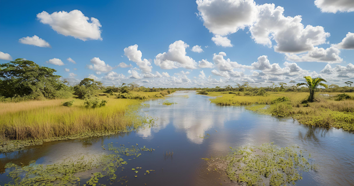 Top 6 Melhores Destinos de Pesca Esportiva no Brasil